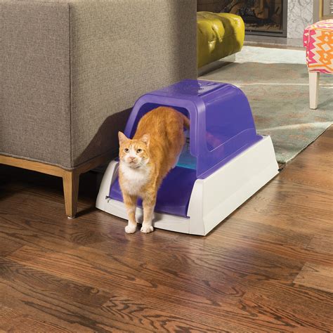 self cleaning litter box petco